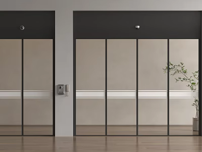 Modern Sliding Glass Doors With Black Frames And Indoor Plant In Interior Space 3d model