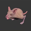Pink Hairless Animal With Large Ears Sharp Teeth And Frightening Expression On Dark Reflective Surface