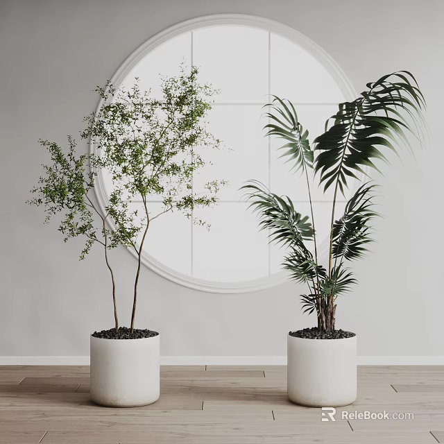 Indoor Decorative Potted Plants With White Pots And Circular Mirror On Light Wall 3d model 