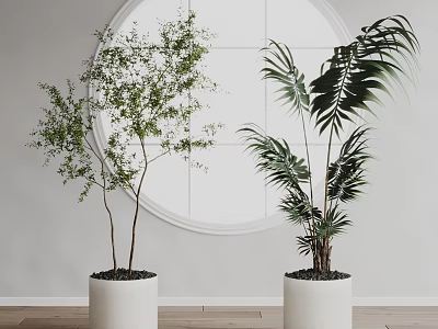 Indoor Decorative Potted Plants With White Pots And Circular Mirror On Light Wall 3d model