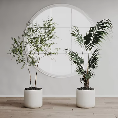 Indoor Decorative Potted Plants With White Pots And Circular Mirror On Light Wall 3d model