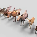 Various Deer and Moose Species Standing in a Row on Gray Background