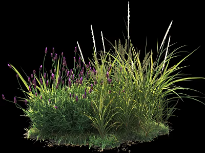 Lush Garden Shrubs Featuring Purple Flowers Green Grass And White Spikes 3d model