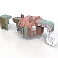 Industrial Mechanical Equipment With Rusty Red And Green Casing And White Pipes Components