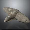 Rock Block Rock Block Rock Specimen Boulder Big Stone Block Rock Stratum Rock Stratum Rock Stratum Rock 3d model
