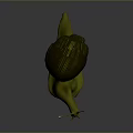 Snail Cartoon Snail Small Snail Reptile Cold Blooded Animal Reptile 3d model