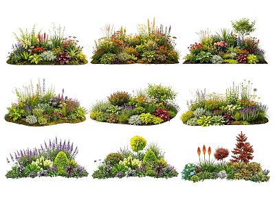 Various Colorful Flower And Herb Combinations For Garden Landscape Design 3d model