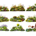 Various Colorful Flower And Herb Combinations For Garden Landscape Design