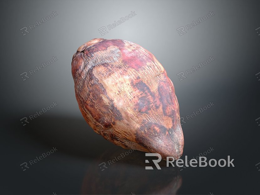 Coconut Fruit Tropical Fruit Fresh Fruit Realistic model