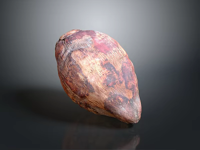 Single Brownish Red Textured Coconut Fruit With Natural Shell And Oval Shape 3d model