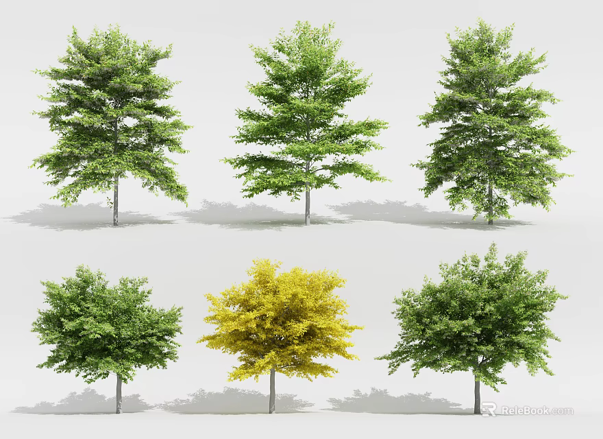 Different Arbor Tree Varieties Featuring Green And Yellow Foliage For Landscaping 3d model 