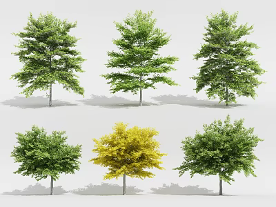 Different Arbor Tree Varieties Featuring Green And Yellow Foliage For Landscaping 3d model