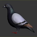 Realistic Animal Painting of Pigeon with Dark Gray Body White Wings and Green Iridescent Neck