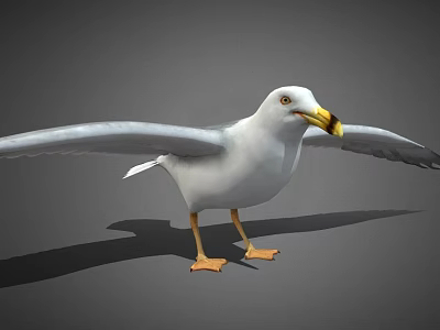 Seagull With Spread Wings Standing On Gray Background Showing Yellow Beak And Orange Feet 3d model