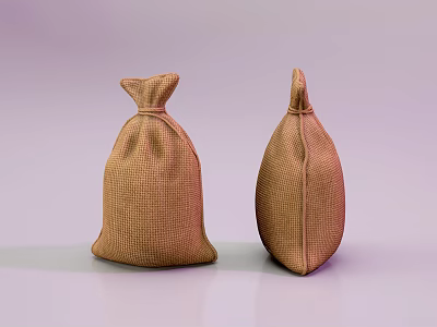 Two Brown Woven Textured Bags Placed On Smooth White Background Surface 3d model
