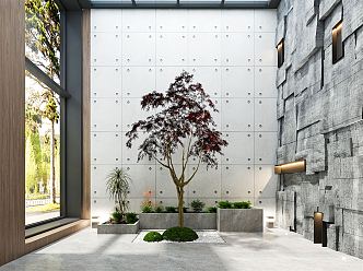 Modern courtyard dry view plant stone wall 3d model