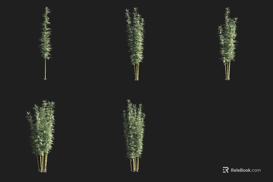 Tall Green Bamboo Plants with Lush Leaves and Stems on Black Background 3d model 