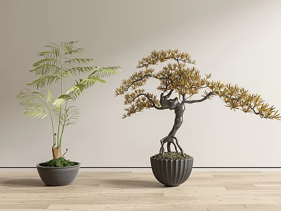 Bonsai Plants Featuring Green Leaves And Golden Foliage In Decorative Pots On Wooden Floor 3d model
