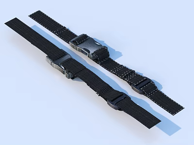 Durable Black Nylon Adjustable Straps With Metal Buckle For Daily Living Supplies 3d model