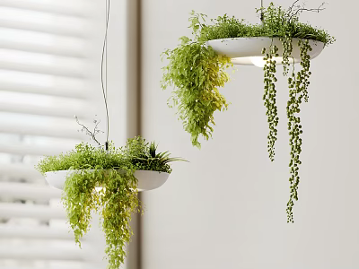 Hanging Pendant Lights With Green Hanging Plants And White Planter Design For Indoor Decor 3d model
