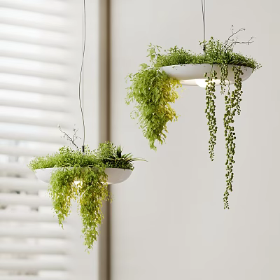 Hanging Pendant Lights With Green Hanging Plants And White Planter Design For Indoor Decor 3d model