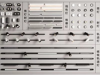 Various Types of Downlights and Spotlights Including Linear Grid Track and Magnetic Track Lights 3d model