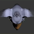 3D Low Poly Fantasy Creature Character With Gray Ears Bird Like Beak And Blue Eyes