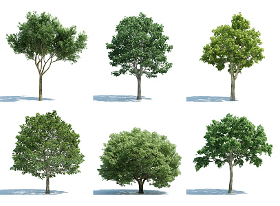 The Modern Tree 3d model