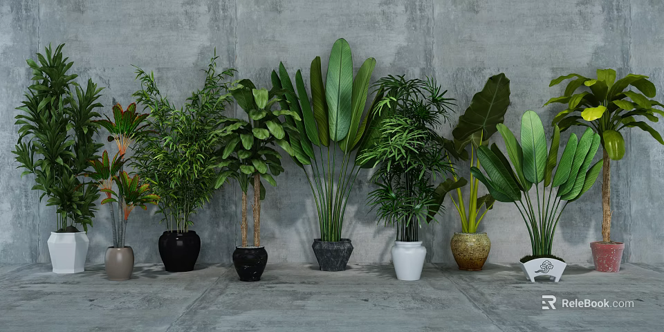 Various Bonsai Potted Plants With Different Colored Pots And Lush Green Foliage 3d model 