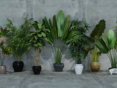 Various Bonsai Potted Plants With Different Colored Pots And Lush Green Foliage 3d model