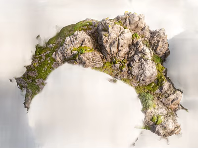 Small Garden Decorative Feature With Rocks Moss And Lush Green Foliage 3d model