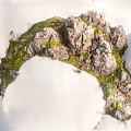 Small Garden Decorative Feature With Rocks Moss And Lush Green Foliage
