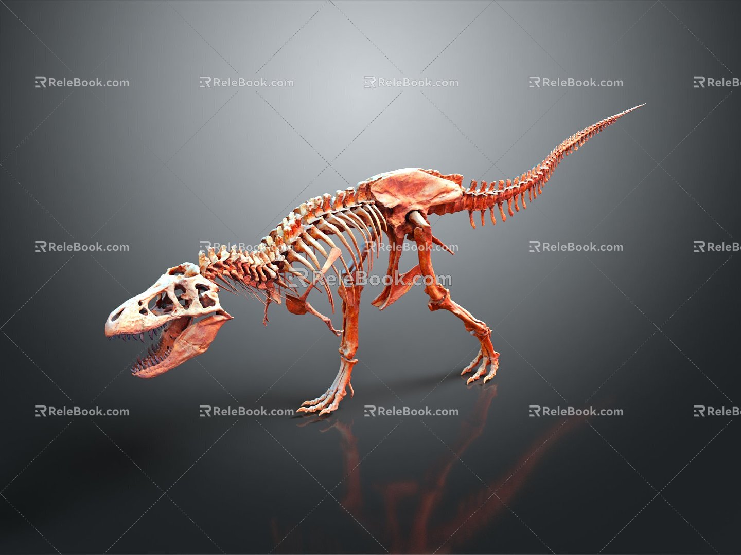 Modern Skeleton Animal Skeleton Skeleton Animal Skeleton 3d model