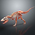 Modern Skeleton Animal Skeleton Skeleton Animal Skeleton 3d model