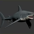 Realistic 3D Blue Shark Aquatic Animal With Sharp Teeth And Detailed Fins