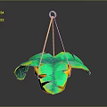 Hanging Green Plant With Large Leaves In Decorative Pot And Rope