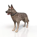 Realistic Standing Gray Fur Dog With Collar On White Background