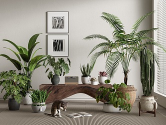 Modern Potted Plant Green Plant Potted Plant Bonsai Tortoise Bamboo Scatter Kwai Bird of Paradise Cactus Fleshy 3d model