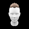 Game and Movie Character 3D Head Model With White Face and Brown Hairstyle