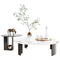 Elegant Modern Marble Top Coffee Table With Green Plant Horse Figurine Tray And Glassware