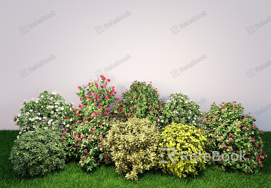 Rose Shrub Flowering Trees Common Flowering Shrub Ball model