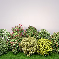 Rose Shrub Flowering Trees Common Flowering Shrub Ball 3d model