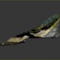 Natural Rocky Cliffside with Cave Entrance Stone Steps and Waterfront Green Vegetation