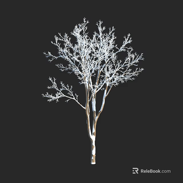 Leafless Tree With Detailed White Branches Isolated On Black Background 3D Rendering 3d model