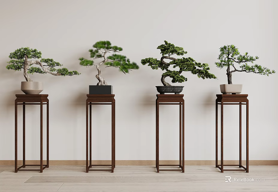 Four Bonsai Plants Displayed on Wooden Stands with Light Colored Wall and Floor 3d model 