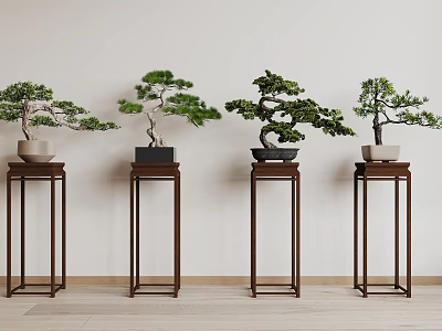 Four Bonsai Plants Displayed on Wooden Stands with Light Colored Wall and Floor 3d model