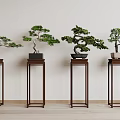 Four Bonsai Plants Displayed on Wooden Stands with Light Colored Wall and Floor