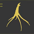Red Animal With Long Thin Legs Curved Segmented Body And Reflection On Dark Background