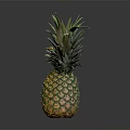 Fresh Ripe Pineapple With Green Leafy Top And Yellow Textured Skin On Dark Background
