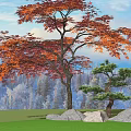 red maple tree maple leaf 3d model